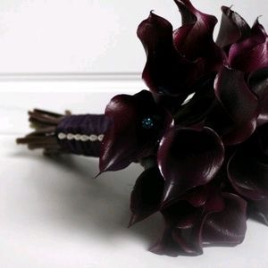 Meet your Posher, Camille